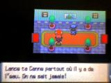 Cannes à pêches dans Pokémon Diamant et Perle Cannes à pêches dans Pokémon Diamant et Perle
